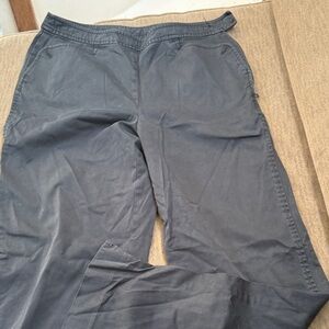 Ann Taylor Women's Ankle Pants in Black